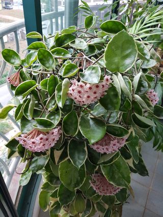 권병☆님의 자유주제 · 자유게시판 작성글 사진