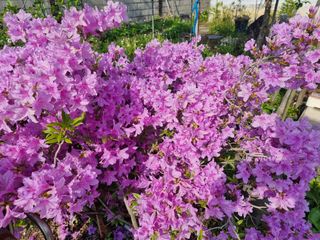 권병☆님의 자유주제 · 자유게시판 작성글 사진