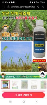 팜모닝 자유주제·자유게시판 게시글 이미지