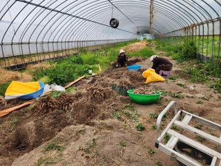 이창신님의 자유주제 · 자유게시판 작성글 사진