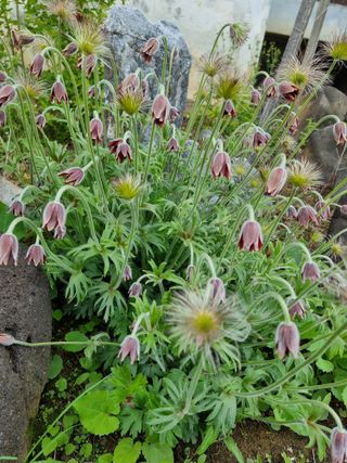 권병☆님의 자유주제 · 자유게시판 작성글 사진