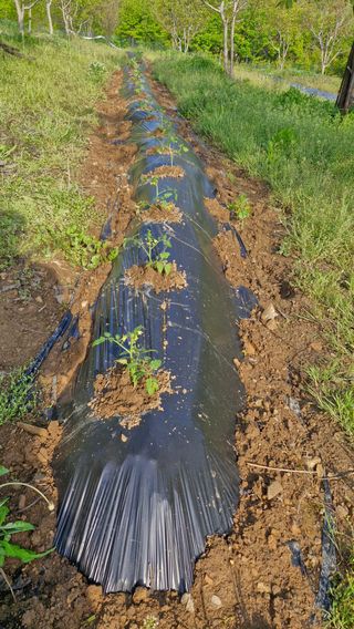 정석구님의 자유주제 · 자유게시판 작성글 사진