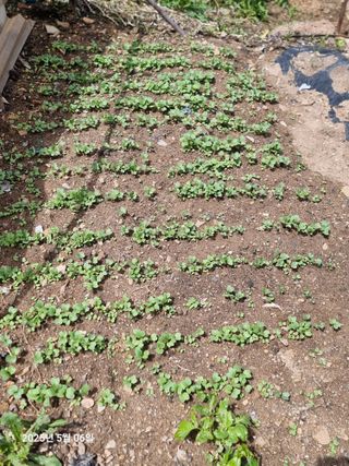 권병☆님의 자유주제 · 자유게시판 작성글 사진