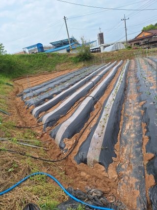 길가다우연히님의 자유주제 · 자유게시판 작성글 사진