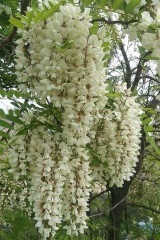 MSG0074님의 자유주제 · 자유게시판 작성글 사진