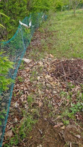 정석구님의 자유주제 · 자유게시판 작성글 사진