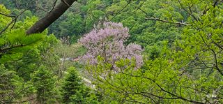 해오름달님의 자유주제 · 자유게시판 작성글 사진