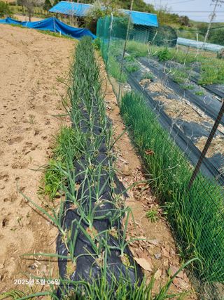 권병☆님의 자유주제 · 자유게시판 작성글 사진