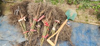 도기백님의 자유주제 · 자유게시판 작성글 사진