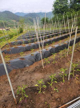 배주원님의 자유주제 · 자유게시판 작성글 사진