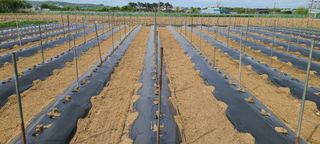 정진해님의 자유주제 · 자유게시판 작성글 사진