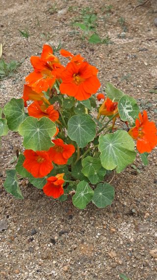 MSG0074님의 자유주제 · 자유게시판 작성글 사진