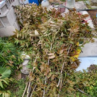 박철용 님의 자유주제 · 자유게시판 작성글 사진