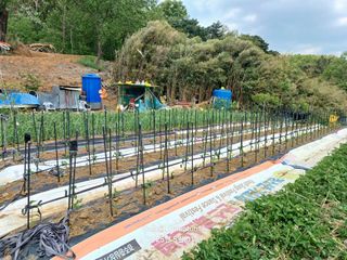 전진규.해돋이님의 자유주제 · 자유게시판 작성글 사진