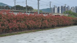 MSG0074님의 자유주제 · 자유게시판 작성글 사진