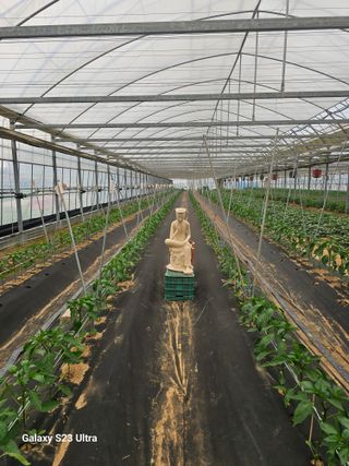 양철주님의 자유주제 · 자유게시판 작성글 사진