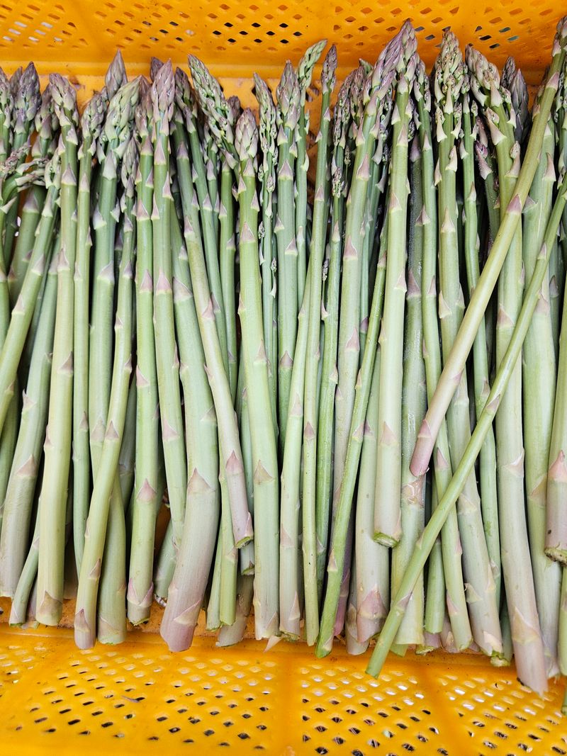 장터 상품 [이스파라거스 1k] 썸네일