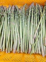 팜모닝 · 게시글 이미지