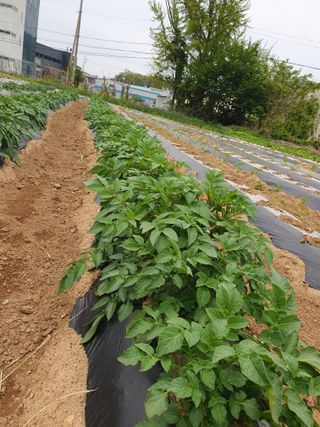 주옥님의 자유주제 · 자유게시판 작성글 사진