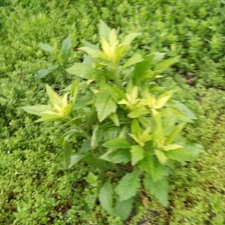 박철용 님의 자유주제 · 자유게시판 작성글 사진