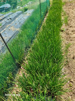 권병☆님의 자유주제 · 자유게시판 작성글 사진