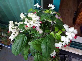 권병☆님의 자유주제 · 자유게시판 작성글 사진