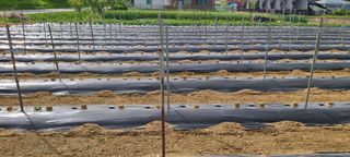 정진해님의 자유주제 · 자유게시판 작성글 사진