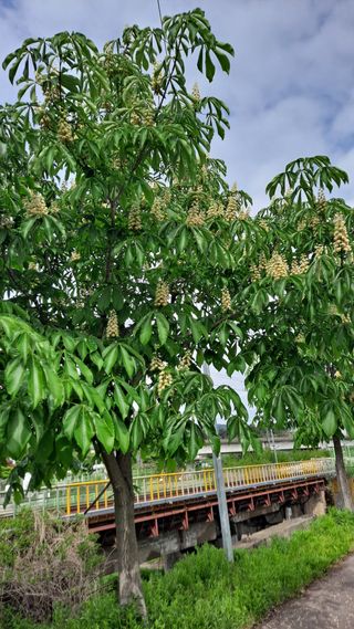 MSG0074님의 자유주제 · 자유게시판 작성글 사진