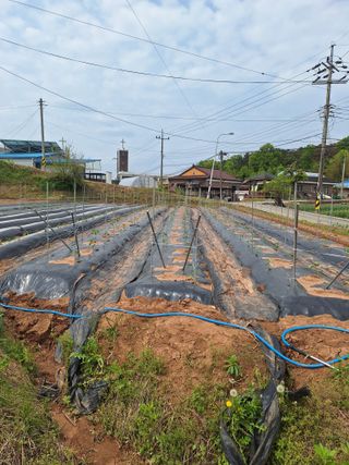 길가다우연히님의 자유주제 · 자유게시판 작성글 사진