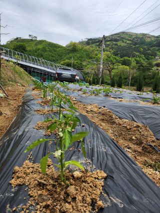 툇골짜기님의 자유주제 · 자유게시판 작성글 사진