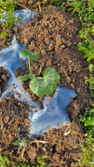 정석구님의 자유주제 · 자유게시판 작성글 사진