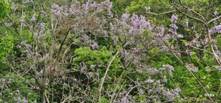 해오름달님의 자유주제 · 자유게시판 작성글 사진