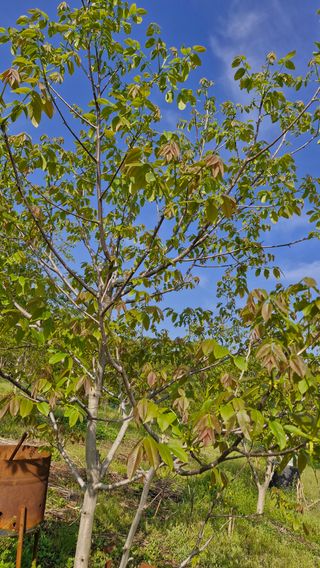 정석구님의 자유주제 · 자유게시판 작성글 사진