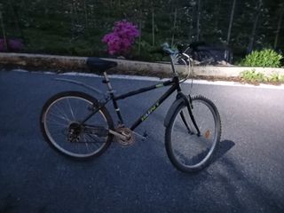 알 수 없음님의 자유주제 · 자유게시판 작성글 사진