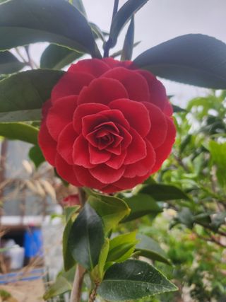 배주원님의 자유주제 · 자유게시판 작성글 사진