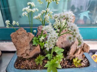 권병☆님의 자유주제 · 자유게시판 작성글 사진