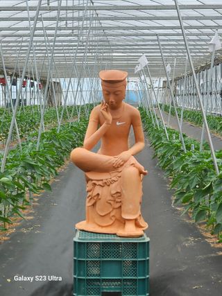 양철주님의 자유주제 · 자유게시판 작성글 사진