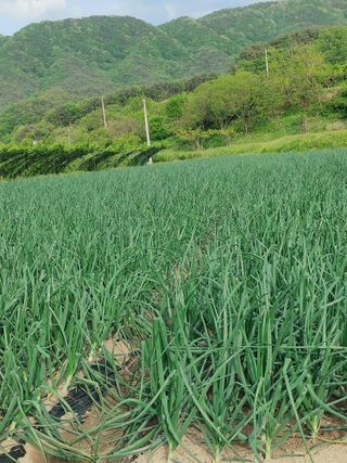 숲속의사나이님의 자유주제 · 사진전 작성글 사진