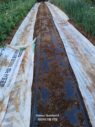 전진규.해돋이님의 자유주제 · 자유게시판 작성글 사진