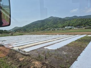 사천시향촌동 돼지띠님의 자유주제 · 자유게시판 작성글 사진