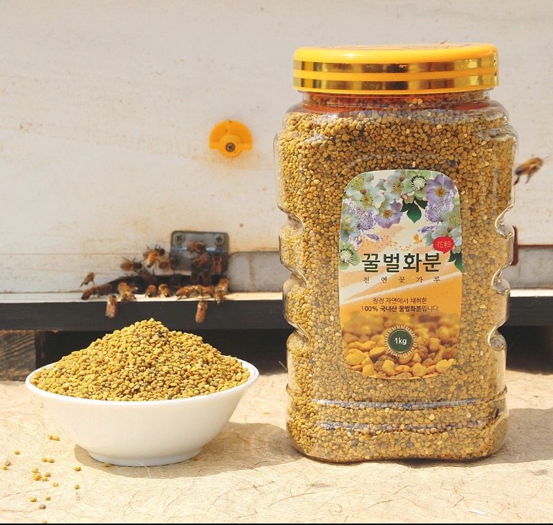유미경님의 장터 판매 상품 [햇 도토리화분 (1kg)] 첨부 사진