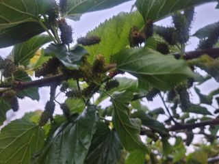 정영기대산축산농부♡님의 자유주제 · 자유게시판 작성글 사진