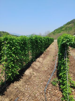 숲속의사나이님의 자유주제 · 사진전 작성글 사진