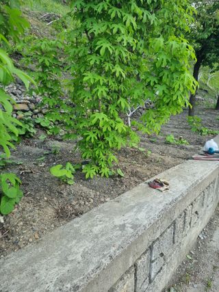 김용대님의 자유주제 · 자유게시판 작성글 사진