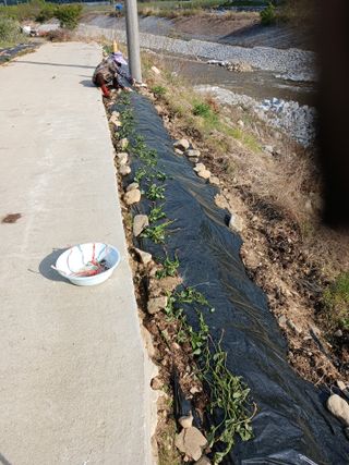 알 수 없음님의 자유주제 · 자유게시판 작성글 사진