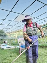 팜모닝 자유주제·자유게시판 게시글 이미지