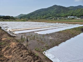 사천시향촌동 돼지띠님의 자유주제 · 자유게시판 작성글 사진