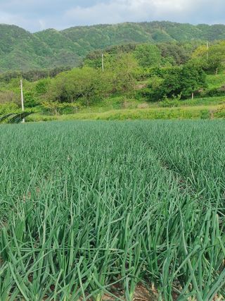 숲속의사나이님의 자유주제 · 사진전 작성글 사진