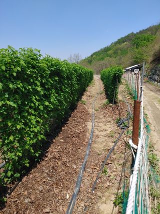 숲속의사나이님의 자유주제 · 사진전 작성글 사진