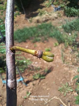 전진규.해돋이님의 자유주제 · 자유게시판 작성글 사진